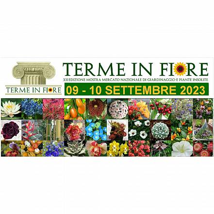 Terme in fiore xii edizione
